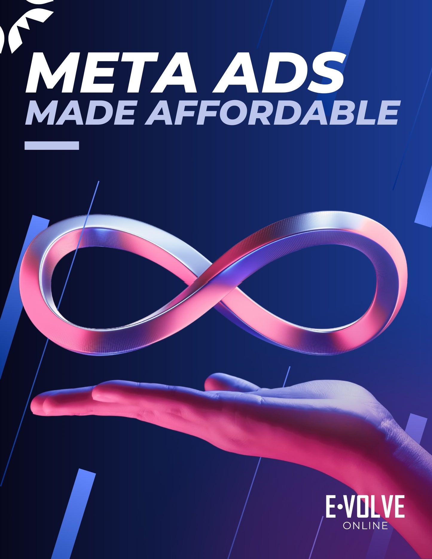 Meta Ads Made Affordable - Bundle